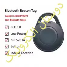 NRF52810 Tag Bluetooth 5.0 Low Power
